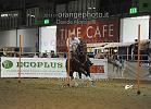 LAPOLLA VITTORIO_TIVIO PEPS SUNRIS